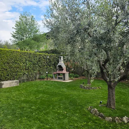 Casa Nido Tra Gli Ulivi * Lazise