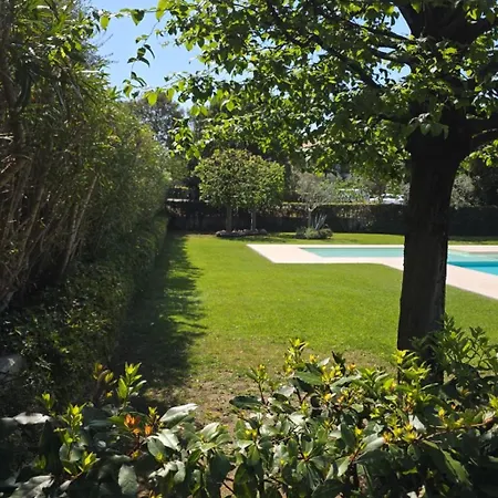 Casa Nido Tra Gli Ulivi